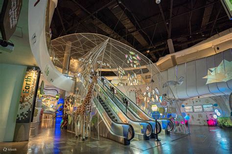the mind museum tickets|The Mind Museum Tickets .